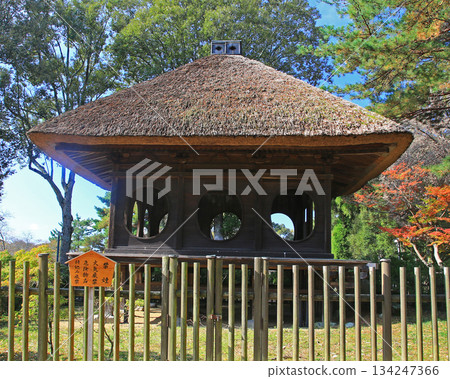 奈良公園的秋葉 134247366