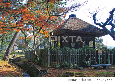 奈良公園的秋葉 奈良公園的秋葉 134247367