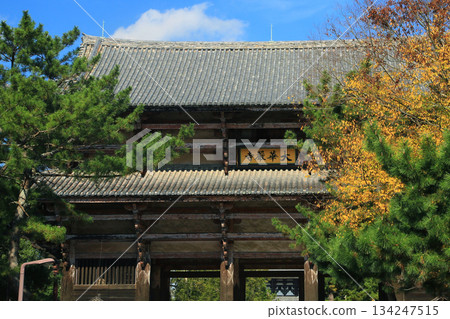 奈良公園東大寺秋葉 奈良公園東大寺秋葉 134247515
