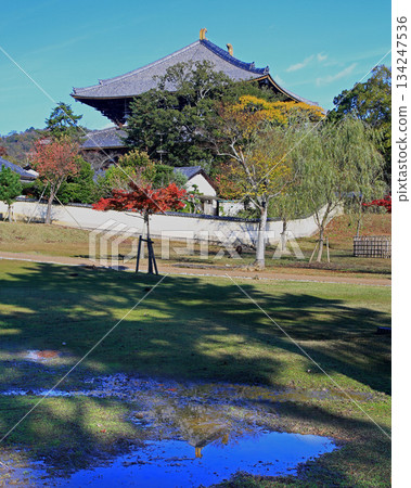 Nara Park Todaiji Temple Autumn leaves 134247536