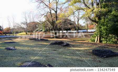 奈良公園東大寺秋葉 134247549