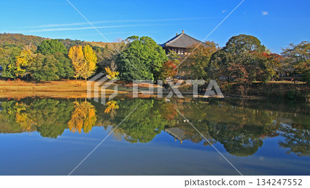 奈良公園東大寺秋葉 134247552