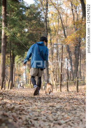 一位面帶微笑的男子在秋日的公園裡遛狗，享受著與寵物共度的美好時光，鏡頭捕捉到他與愛犬的全身，但沒有拍到他的臉。 134247622