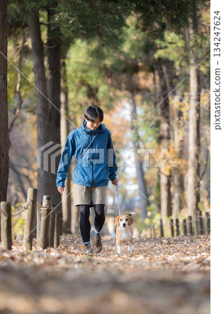 一位微笑的男子在秋日的公園帶著他的狗散步，享受著與寵物相處的時光。 134247624