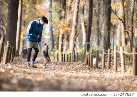 一位微笑的男子在秋日的公園帶著他的狗散步，享受著與寵物相處的時光。 134247627