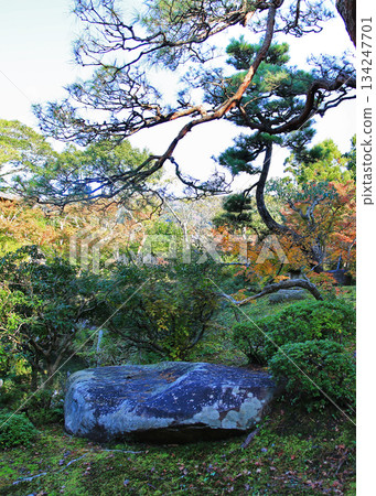 奈良縣吉木園秋葉 134247701