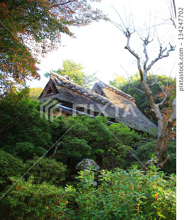 奈良縣吉木園秋葉 134247702