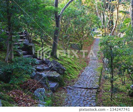 Yoshikien Garden, Autumn Leaves, Nara Prefecture Yoshikien Garden, Autumn Leaves, Nara Prefecture 134247741