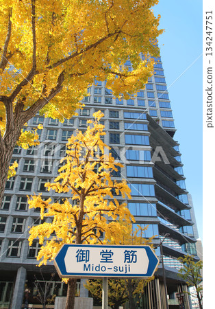 禦堂筋大道和淀屋橋塔兩旁的銀杏樹秋葉。 禦堂筋大道和淀屋橋塔兩旁的銀杏樹秋葉。 134247751