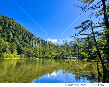 夏日的明神池上高地 134247879