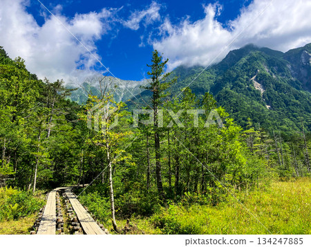 Kamikochi boardwalk and the Hotaka mountain range Kamikochi boardwalk and the Hotaka mountain range 134247885