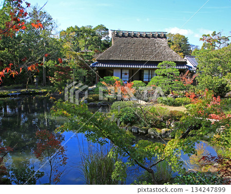 Isuien Garden, Autumn Leaves, Nara Park, Nara Prefecture 134247899
