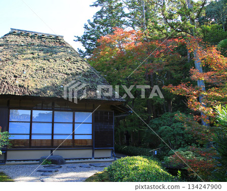 依水園,秋葉,奈良公園,奈良縣 依水園,秋葉,奈良公園,奈良縣 134247900