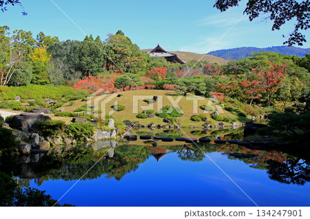 Isuien Garden, Autumn Leaves, Nara Park, Nara Prefecture 134247901