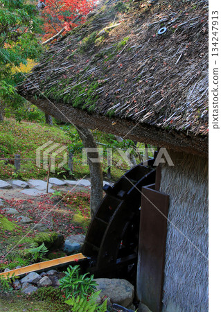 依水園,秋葉,奈良公園,奈良縣 依水園,秋葉,奈良公園,奈良縣 134247913