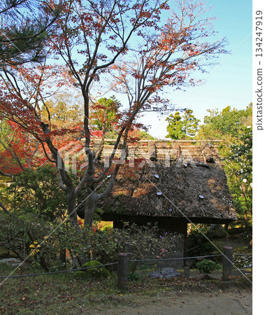 Isuien Garden, Autumn Leaves, Nara Park, Nara Prefecture 134247919