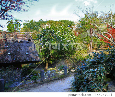 依水園，秋葉，奈良公園，奈良縣 134247921
