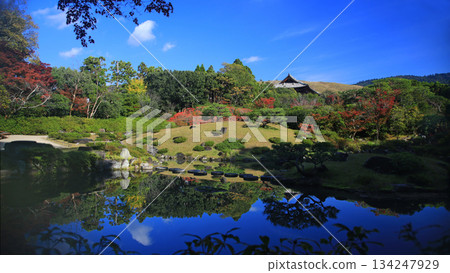 依水園，秋葉，奈良公園，奈良縣 134247929