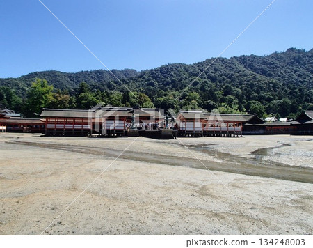 嚴島神社 134248003