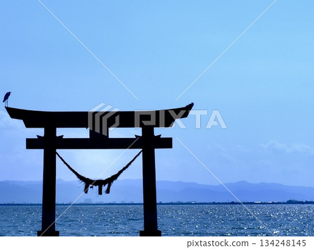 Two birds resting under a torii gate by the sea under a blue sky Two birds resting under a torii gate by the sea under a blue sky 134248145