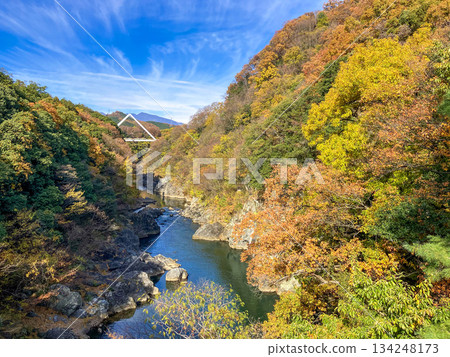 Autumn leaves at Takatsudo Gorge, view from Takatsudo Bridge Autumn leaves at Takatsudo Gorge, view from Takatsudo Bridge 134248173