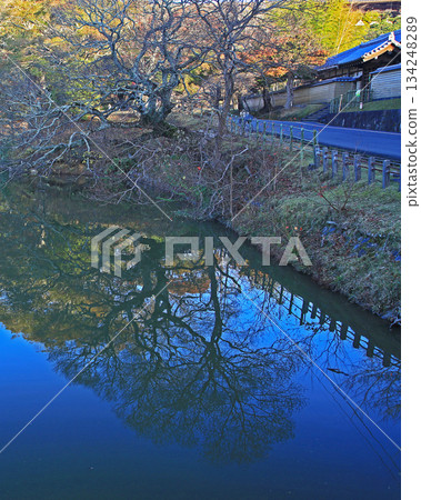 Daibutsu Pond, Nara Park, Autumn leaves Daibutsu Pond, Nara Park, Autumn leaves 134248289