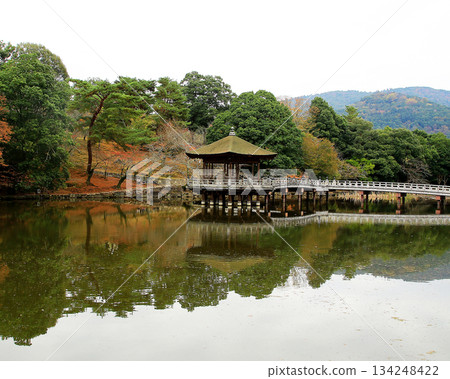 浮見堂、奈良公園、秋葉 134248422