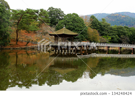 浮見堂、奈良公園、秋葉 浮見堂、奈良公園、秋葉 134248424