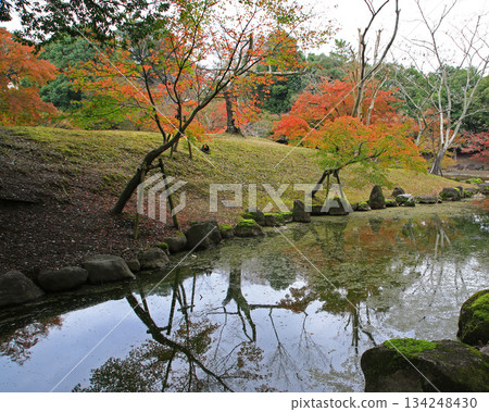 浮見堂、奈良公園、秋葉 134248430