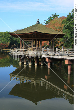 浮見堂、奈良公園、秋葉 134248435