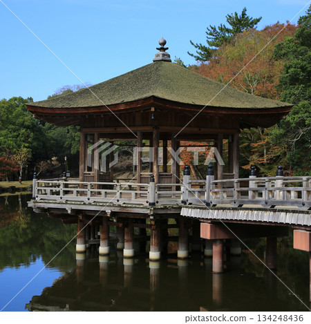 浮見堂、奈良公園、秋葉 134248436