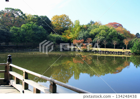 浮見堂、奈良公園、秋葉 浮見堂、奈良公園、秋葉 134248438