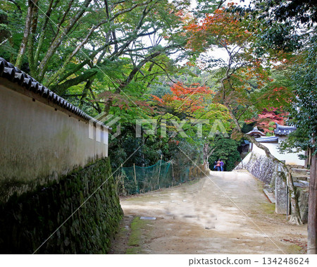 兵庫郡昭寺圓教寺的秋葉 兵庫郡昭寺圓教寺的秋葉 134248624
