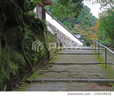 兵庫郡昭寺圓教寺的秋葉 兵庫郡昭寺圓教寺的秋葉 134248626