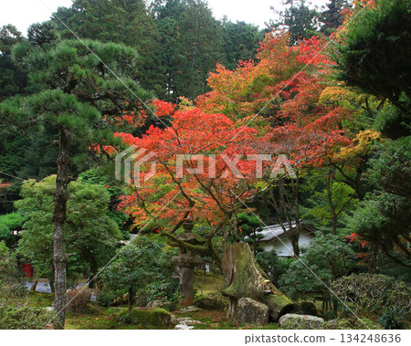 Autumn leaves at Shoshazan Engyo-ji Temple, Hyogo Prefecture 134248636