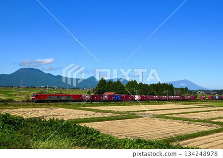 運行在東北本線的電車 134248978