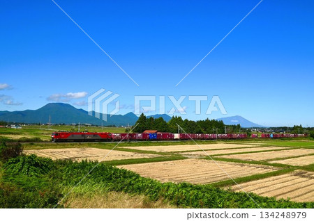 運行在東北本線的電車 134248979