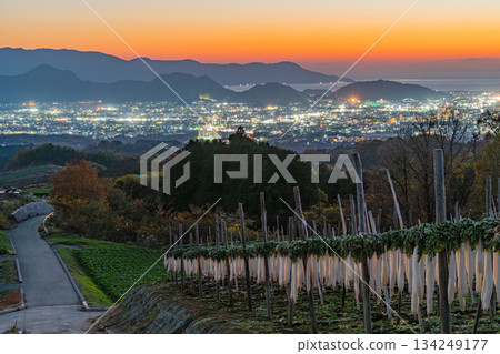 【靜岡縣】深秋美景:箱根山西麓的乾蘿蔔與三島沼津的夜景 【靜岡縣】深秋美景:箱根山西麓的乾蘿蔔與三島沼津的夜景 134249177