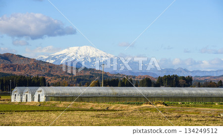 山形縣秋日晴朗的一天，鳥海山和溫室盡收眼底。 134249512