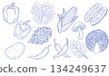 Hand drawn vegetable line art set Organic food illustration material 134249637