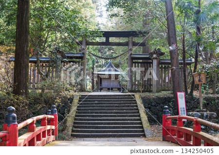 埼玉縣:金佐奈神社/鼓橋和鳥居/上川町,兒玉郡 埼玉縣:金佐奈神社/鼓橋和鳥居/上川町,兒玉郡 134250405