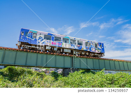 濱松市（靜岡縣）的天龍浜名湖鐵道與天龍川河床 134250937