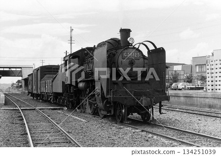 Showa steam locomotive 134251039