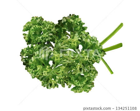 parsley (with stems) parsley (with stems) 134251108