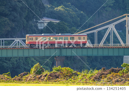 Tenryu Hamanako Railway tracks in Hamamatsu City (Shizuoka Prefecture) Tenryu Hamanako Railway tracks in Hamamatsu City (Shizuoka Prefecture) 134251405