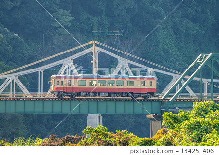 Tenryu Hamanako Railway tracks in Hamamatsu City (Shizuoka Prefecture) 134251406