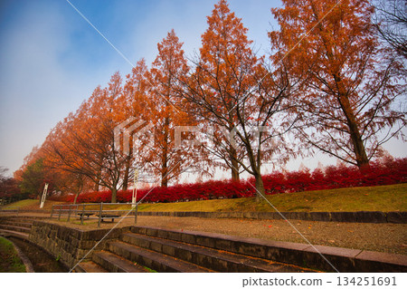 Municipal Museum on a late autumn morning Municipal Museum on a late autumn morning 134251691