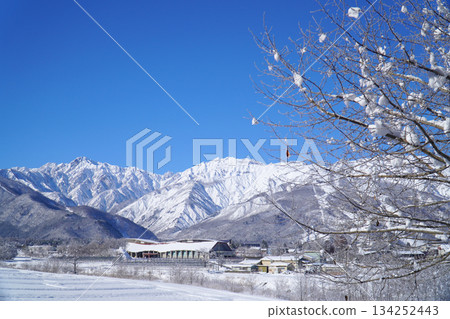 白雪皚皚的白馬村和北阿爾卑斯山 134252443