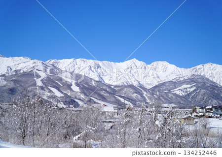 白雪皚皚的白馬村和北阿爾卑斯山 134252446