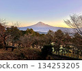 Mount Fuji in the morning as seen from Hatago Pond 134253205
